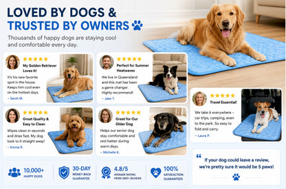 Pets Cooling FrostMat™ for Crates, Kennels and Beds - Portable, Washable And Waterproof (Blue,70X100Cm)