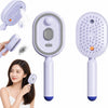 Electric Steam Brush for Hair, 2026 New Rechargeable Steam Hair Straightener & Detangling Brush, Reduces Frizz, Nourishes Hair, Anti-Static (Purple)